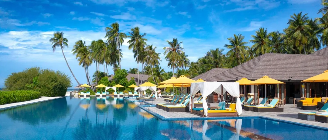 THE LIQUID RESTURANT