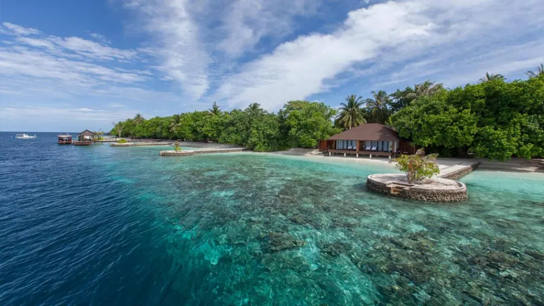 Lily Beach - Resort with Sea View