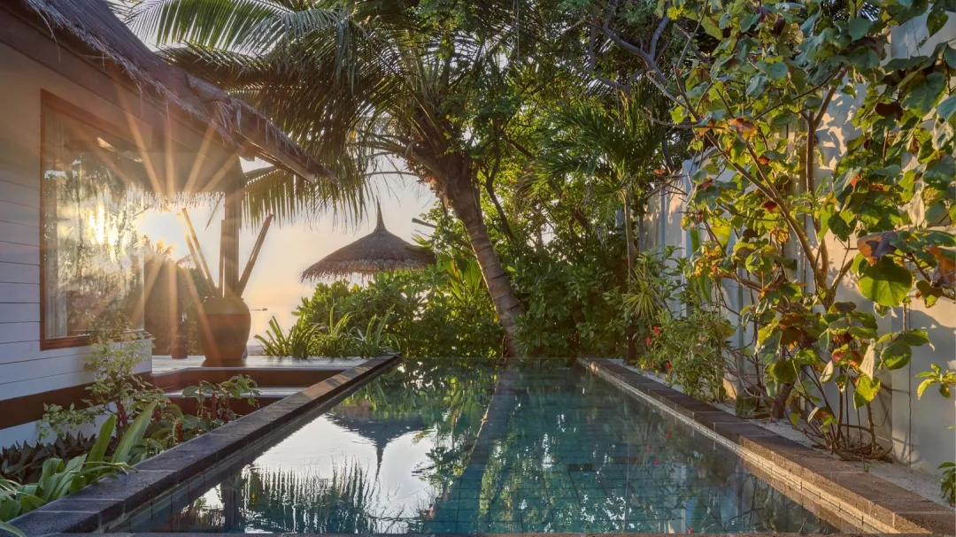 Earth Villa with Pool - Pool View
