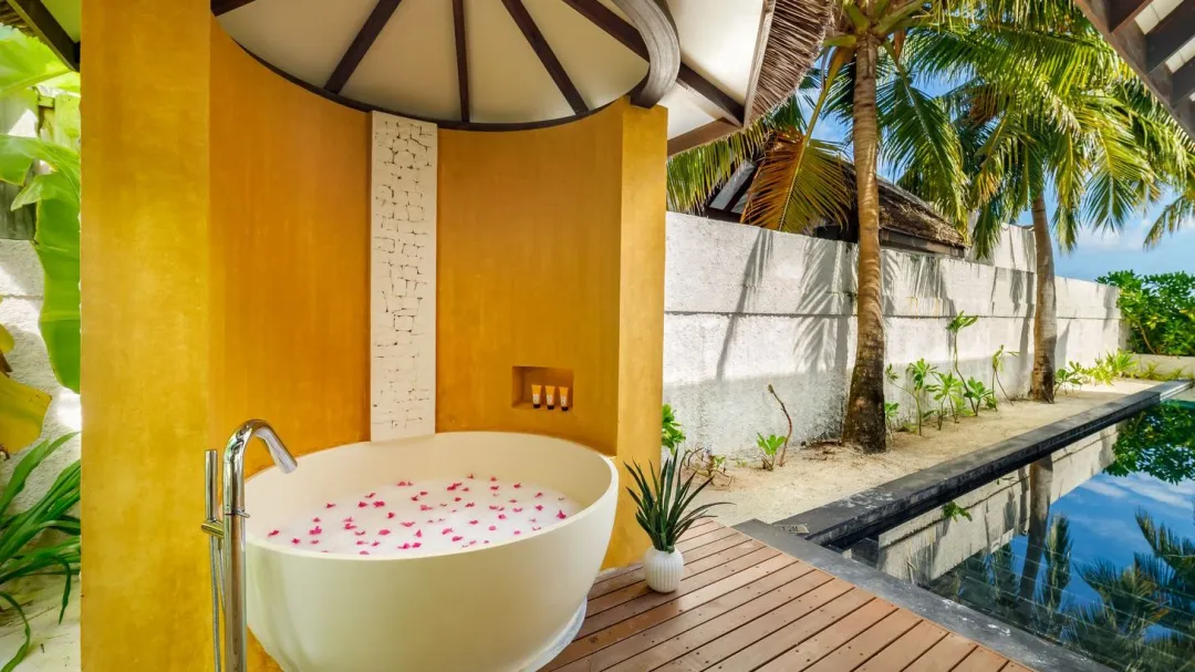 Earth Pool Pavilion - Bath tub