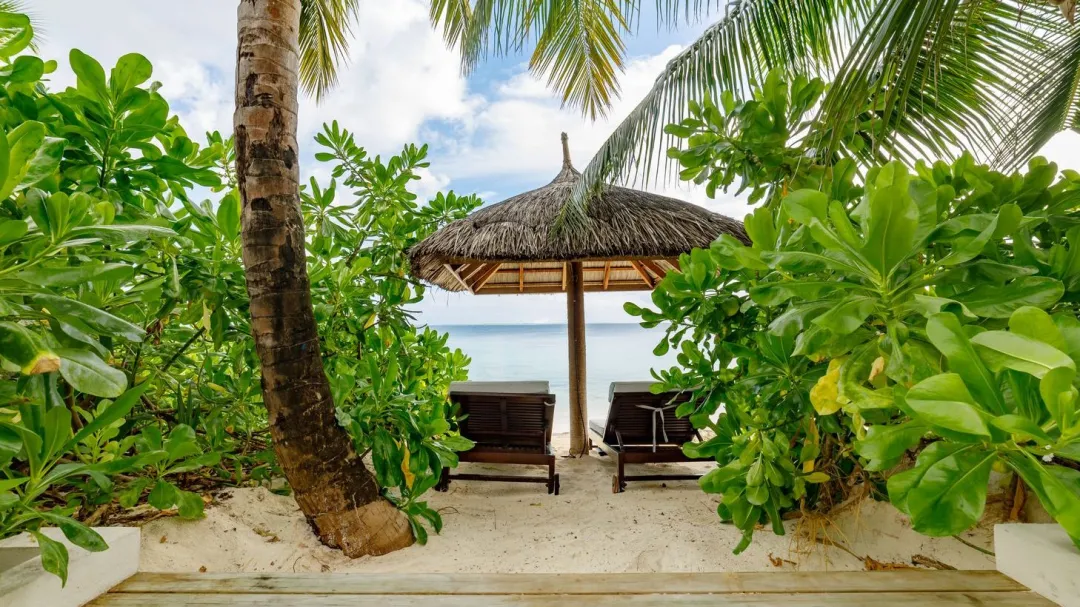 Earth Pool Pavilion - Beach Lounge