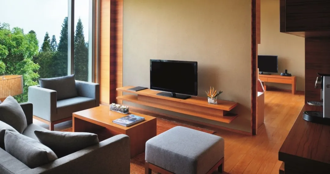 Suite - Living Aeria