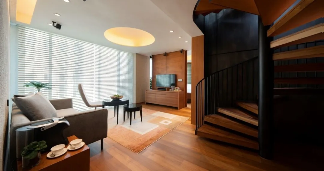 Duplex Suite - Living Aeria