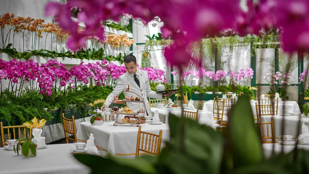 The Orchid Conservatory