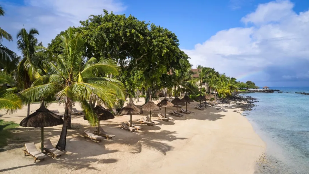 The Westin Turtle Bay Resort & Spa - Beach View