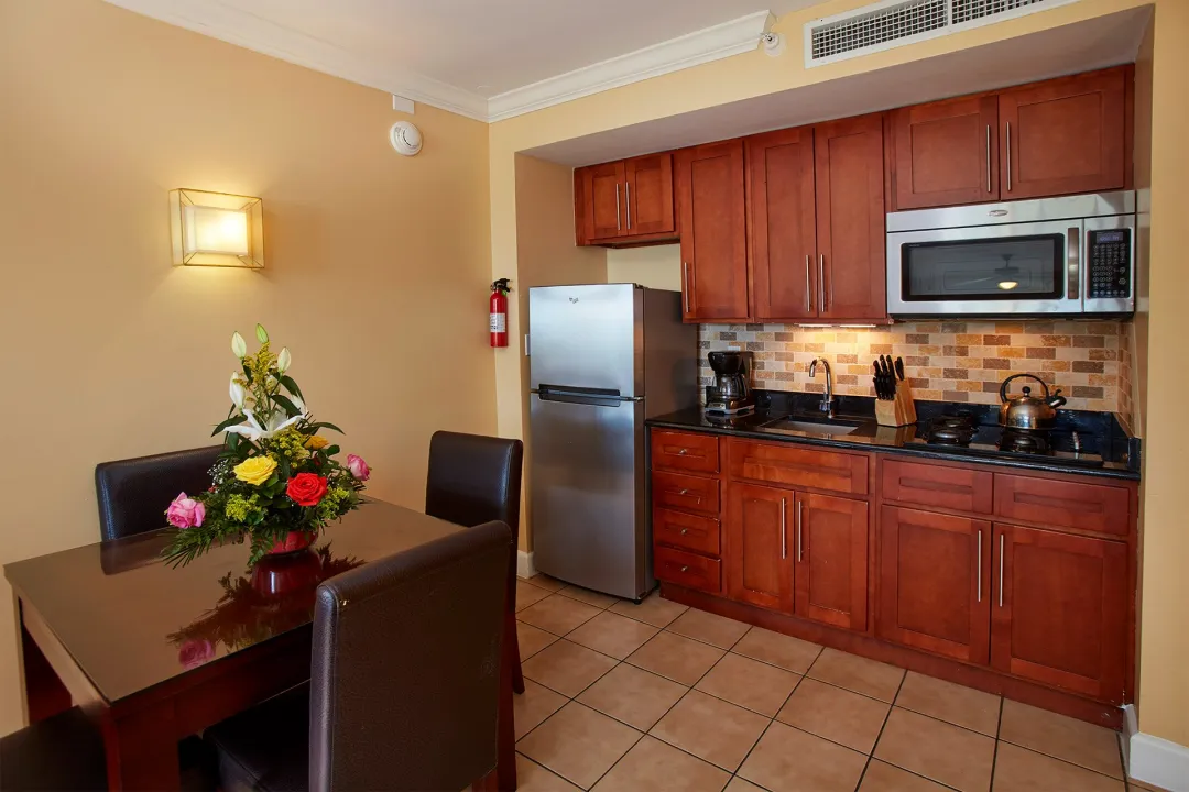 Studio Suite - Dining Aeria