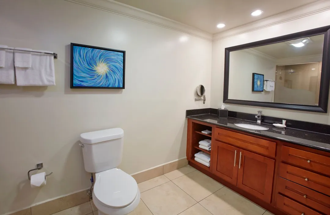One Bedroom Suite - Bathroom