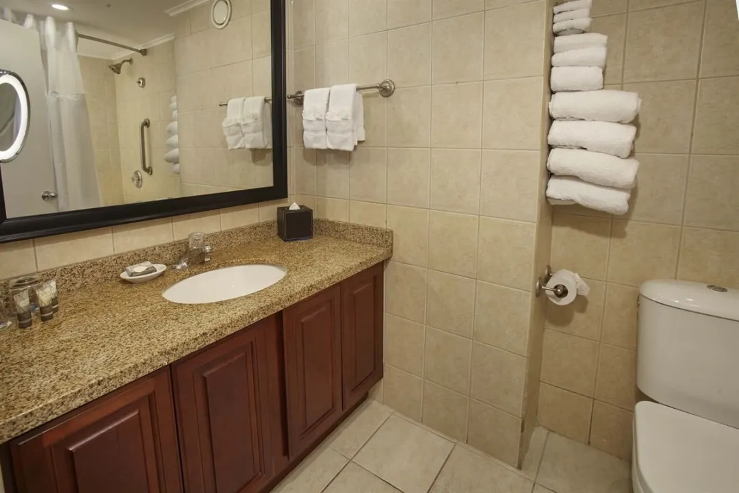 Phoenix One Bedroom Suite - Bathroom