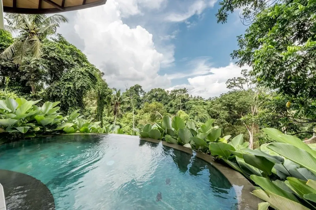 Courtyard Pool Villa - Pool View