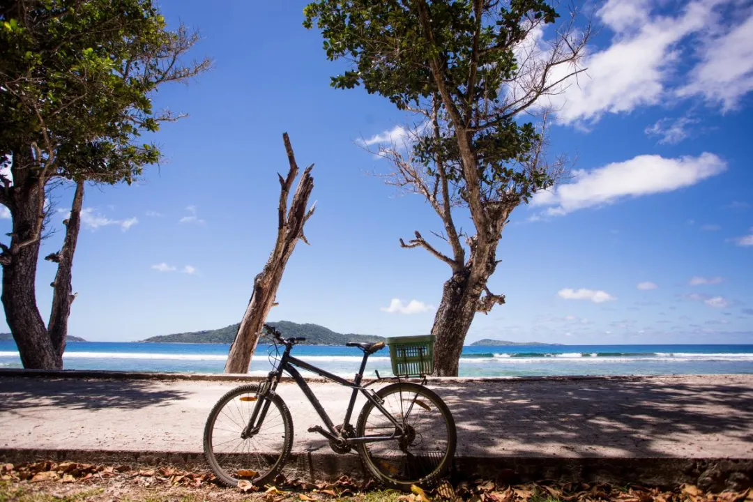 Le Domaine de l'Orangeraie Resort & Spa - Beach View