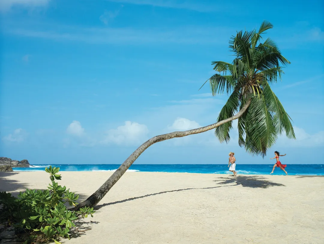 Four Seasons Resort Seychelles - Beach View