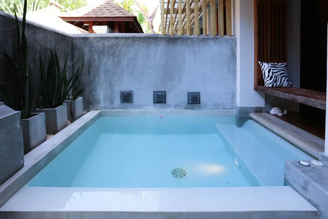 Plunge Pool - Pool View