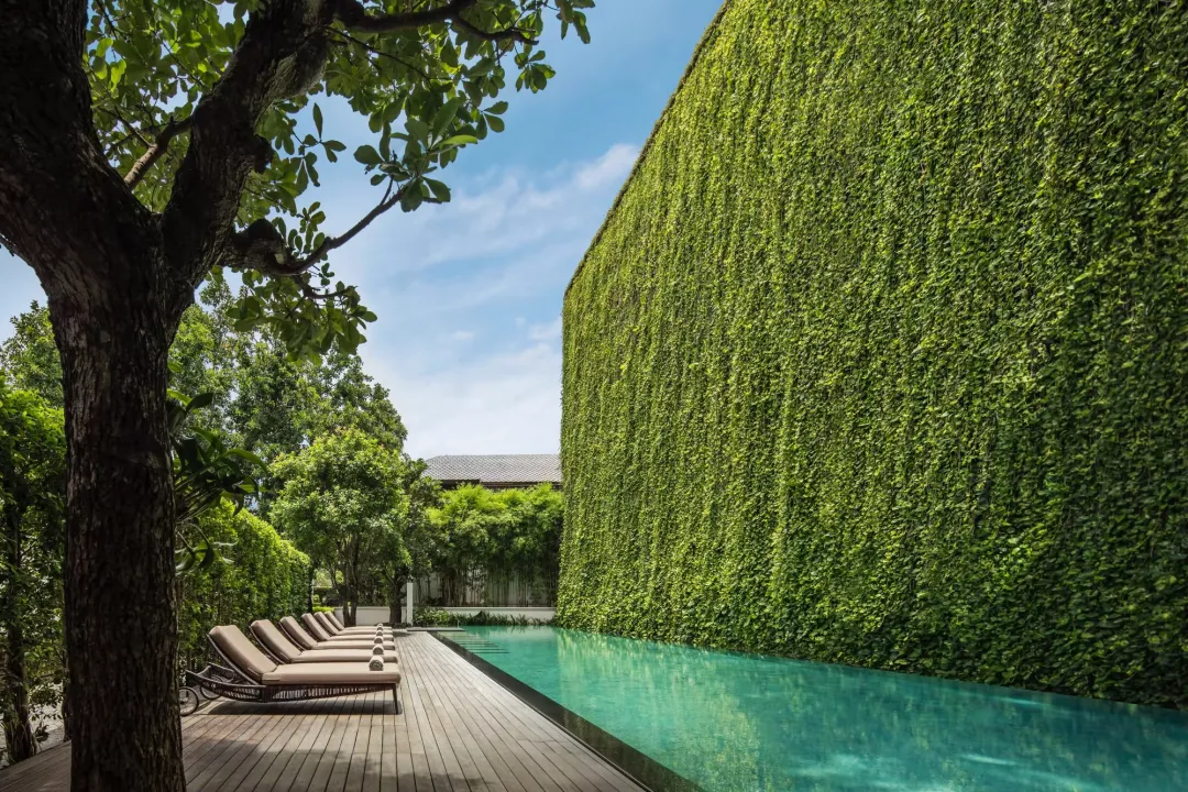 137 Pillars House Chiang Mai - Swimming Pool View