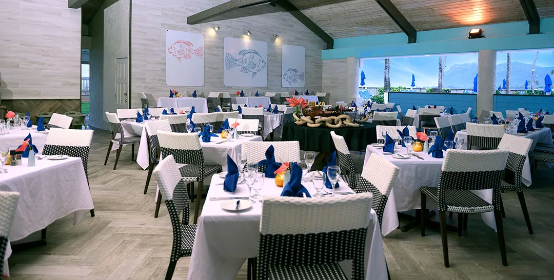 Trattoria Restaurant Trattoria Restaurant