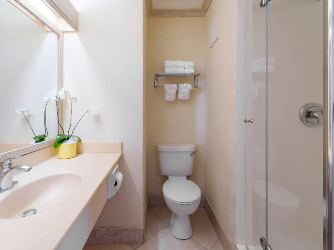 Garden Pool View - Bathroom