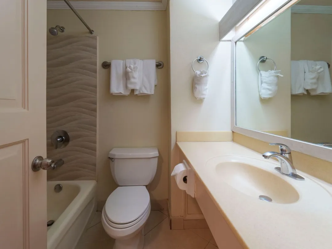 Ocean View Room - Bathroom