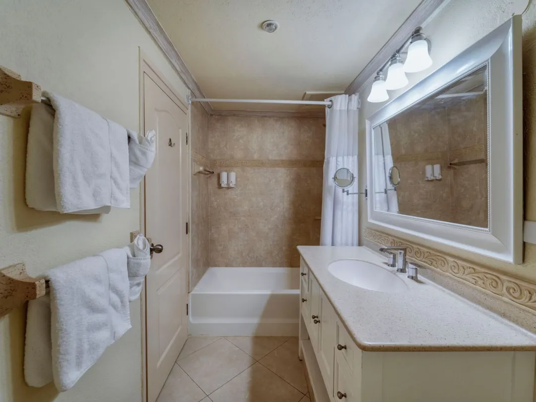Luxury Suite - Bathroom