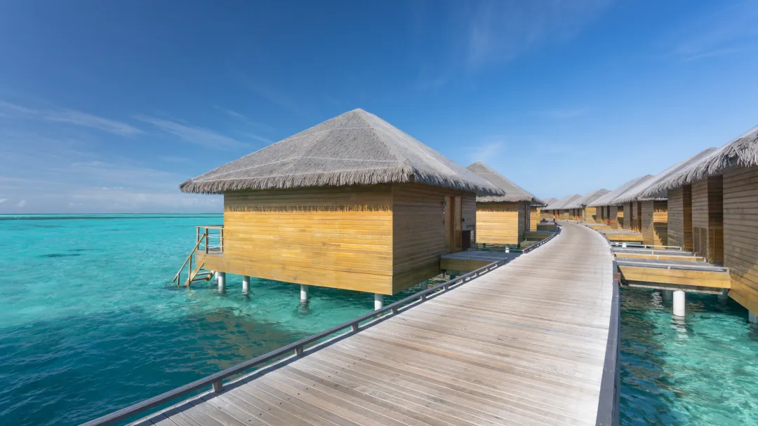 Lagoon Suite with Slide - Lagoon Villa