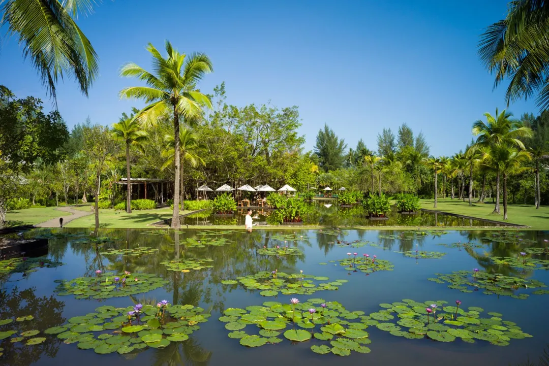 The Sarojin - Garden View