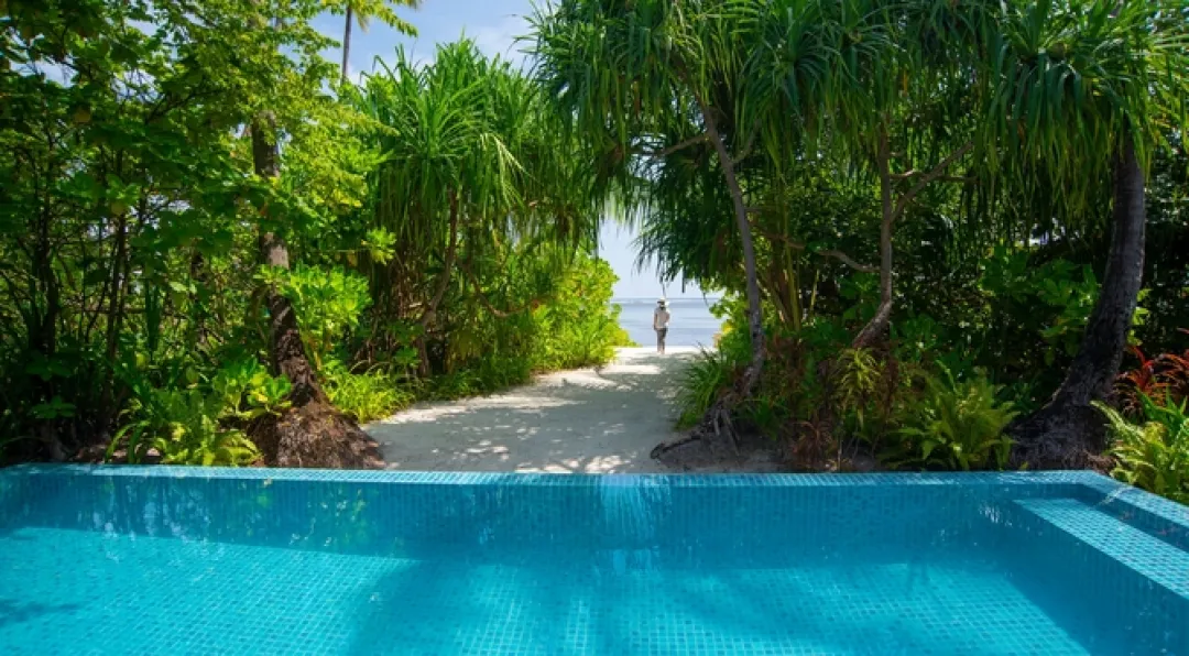 Sunrise Deluxe Beach Pool Villa - Pool View