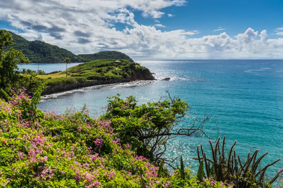 Tropical Caribbean Landscape