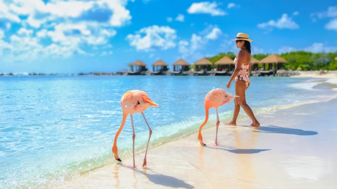 Women on the beach with pink flamingos