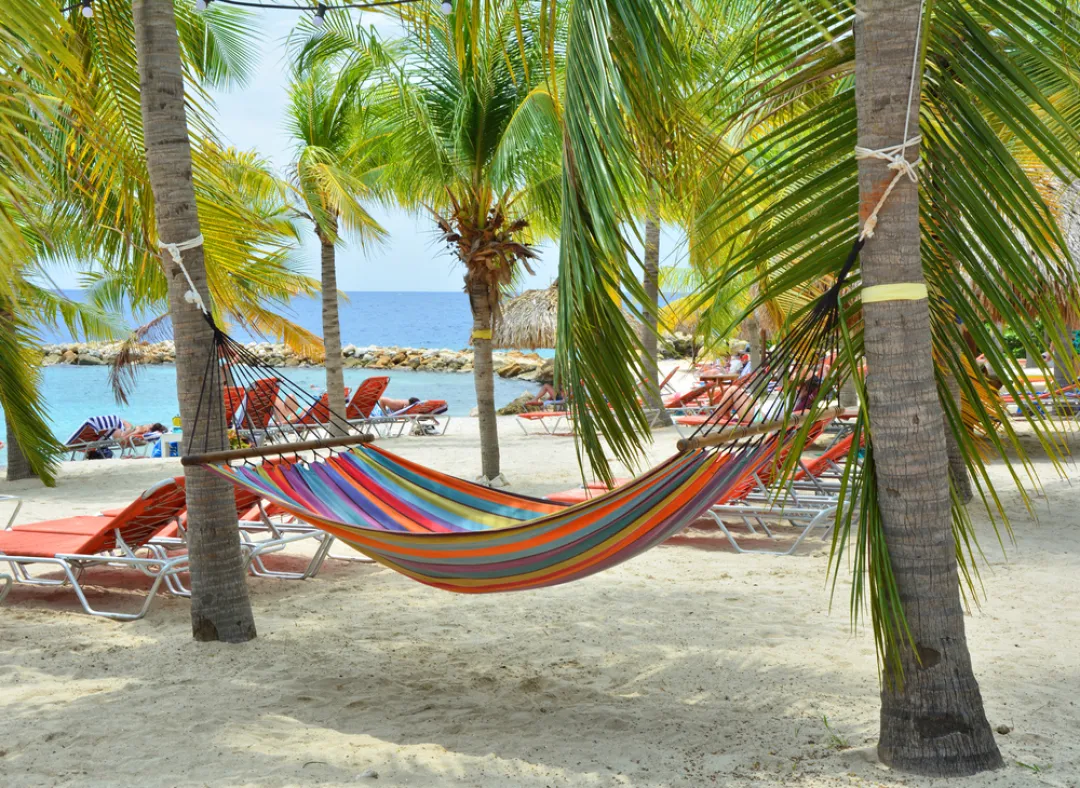 Hammock hanging between palm trees 