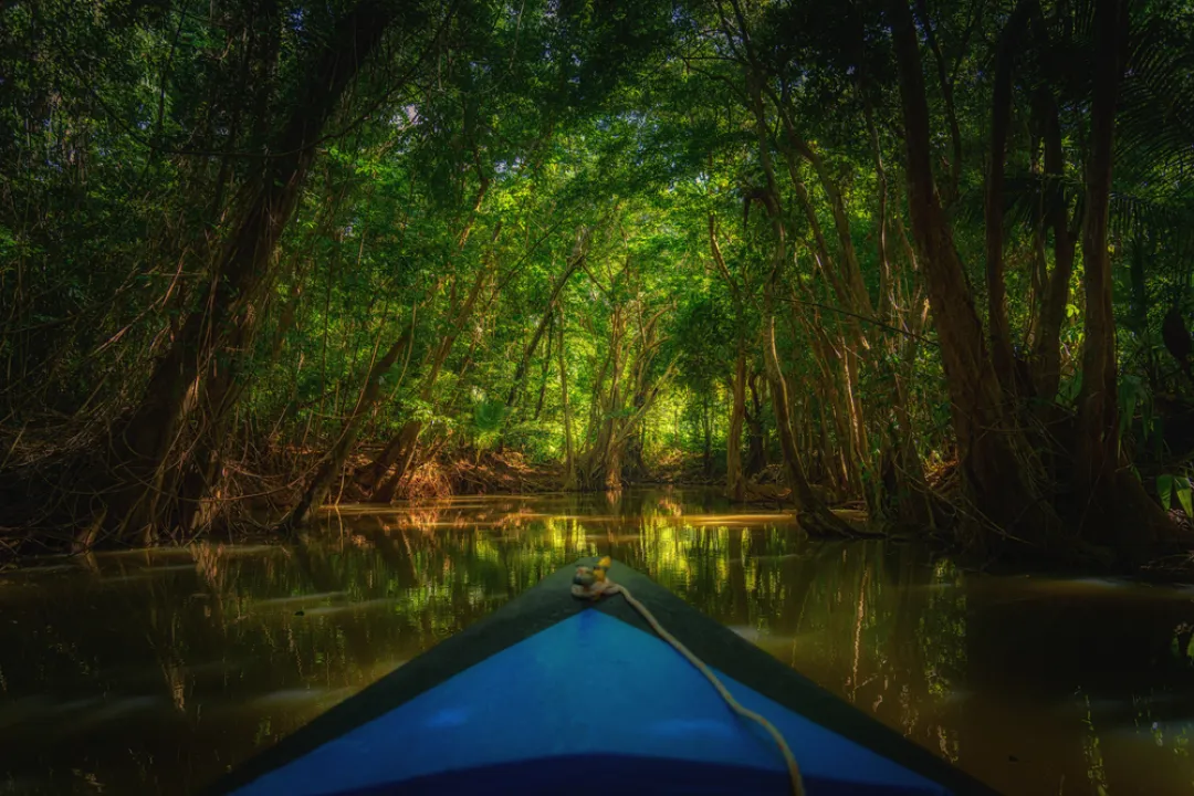 Dominica Rowing boat