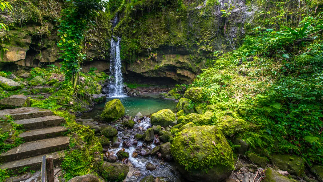 Emerald Pool on Dominica