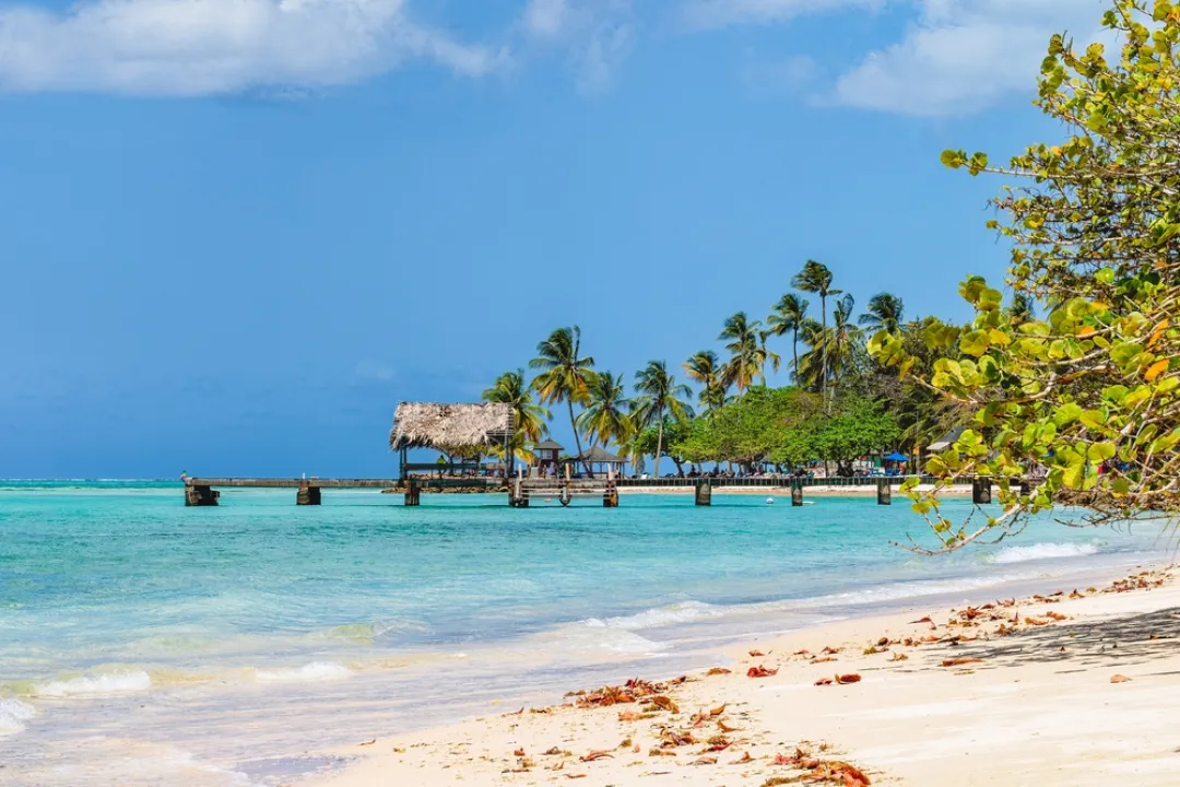 White sand beach