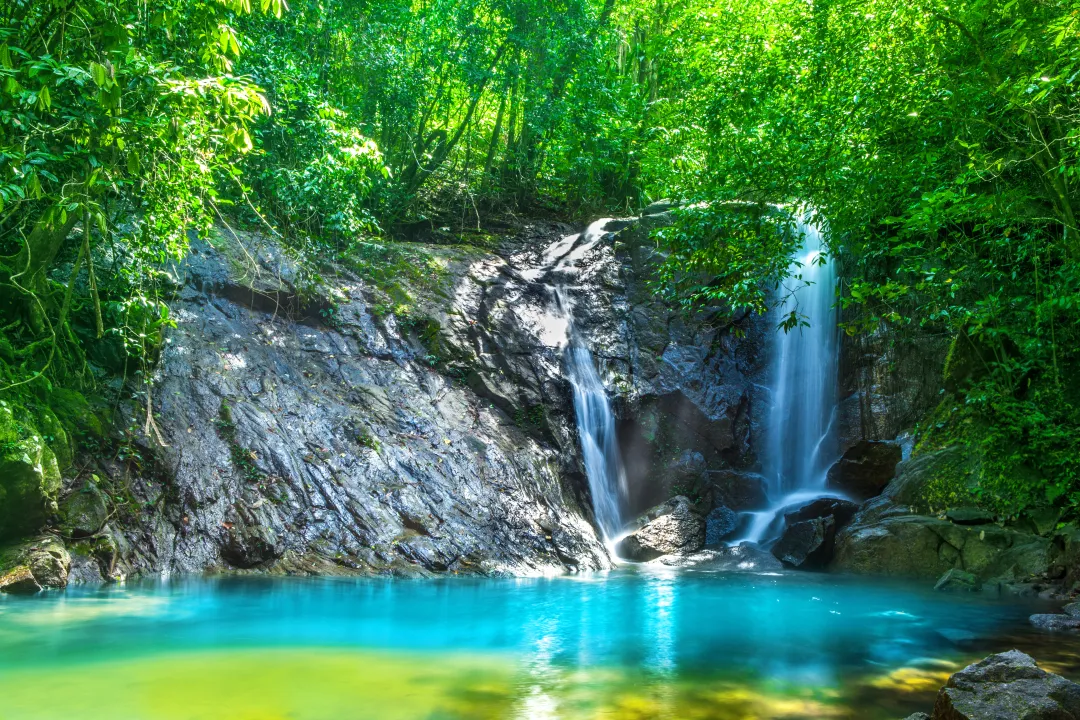 Tropical waterfall in the forest,Ton Chong Fa in khao lak Phangnga South of Thailand