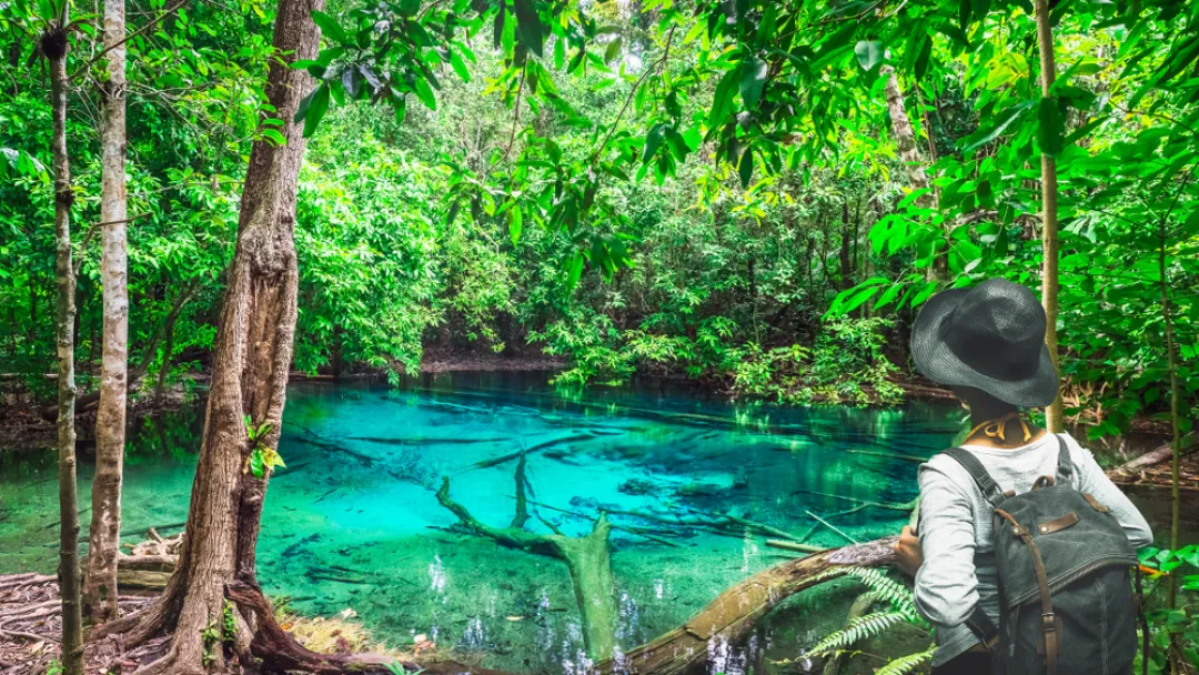 Landscape emerald blue pool