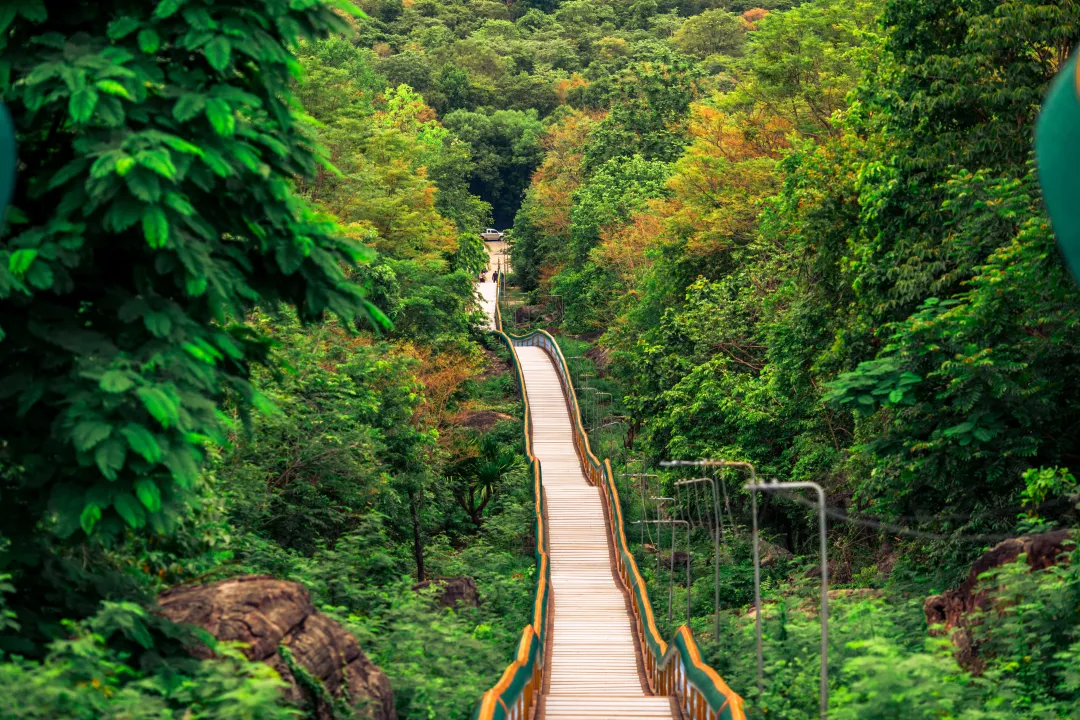 A Bridge or a walkway to admire the mountain 