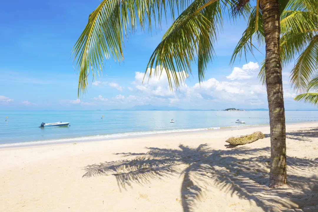 Beach View