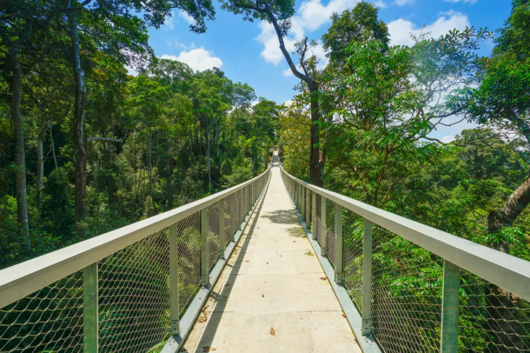 Canopy Walk at The Habitat Penang Hill 