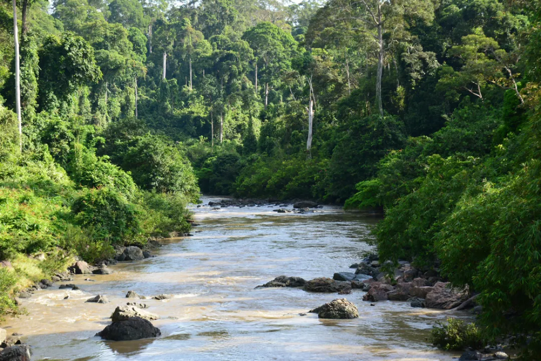 Danum Valley