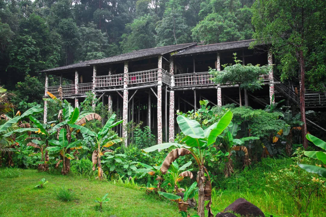 Traditional Long houses