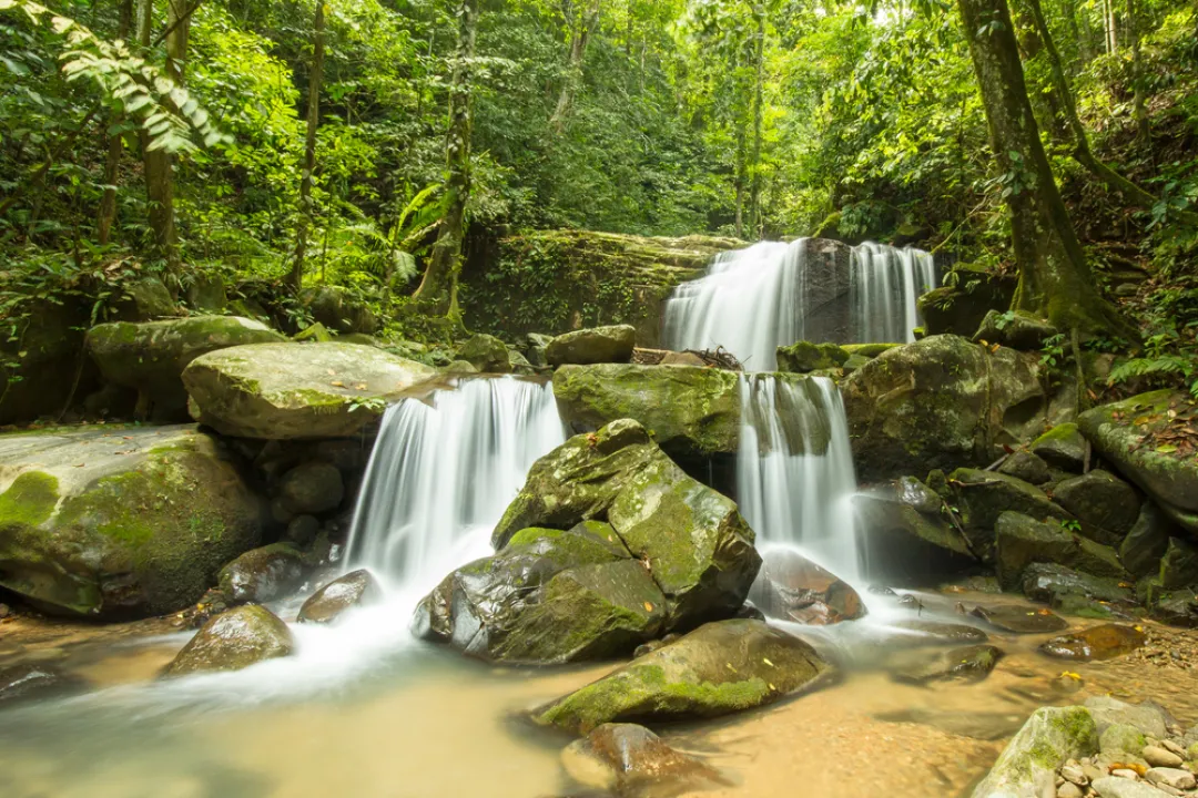 Waterfall in jungle 