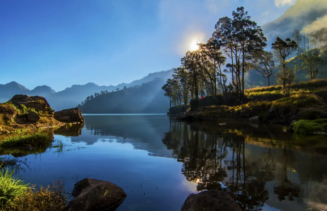 landscape with mountains trees and a lake in front segara danau anak lake