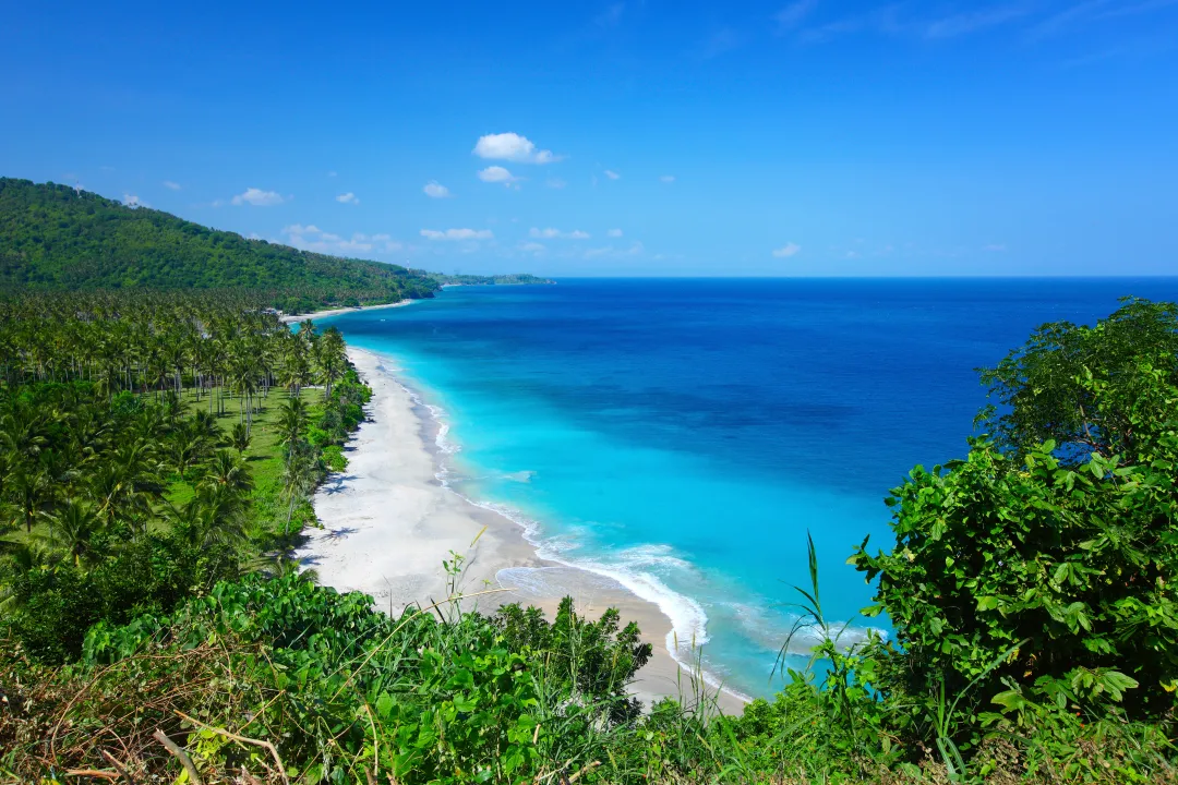 Tropical lagoon with clear water and beach