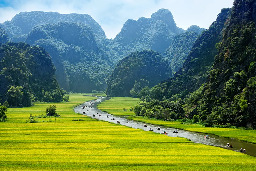 Rice field and river, NinhBinh, vietnam landscapes
