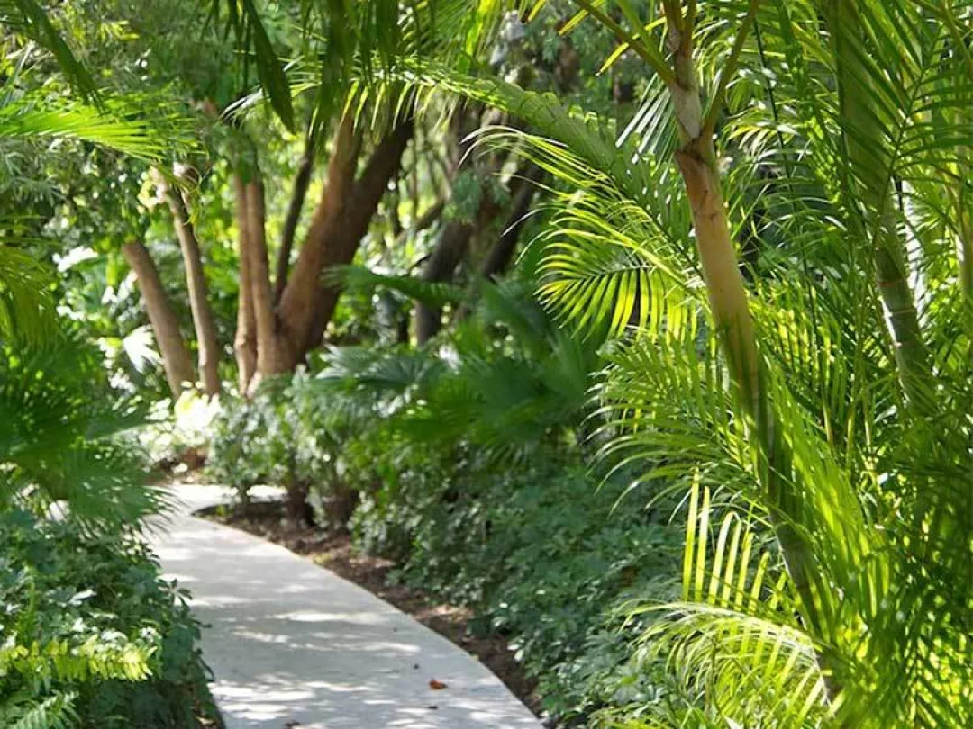 Garden Suite - Garden View