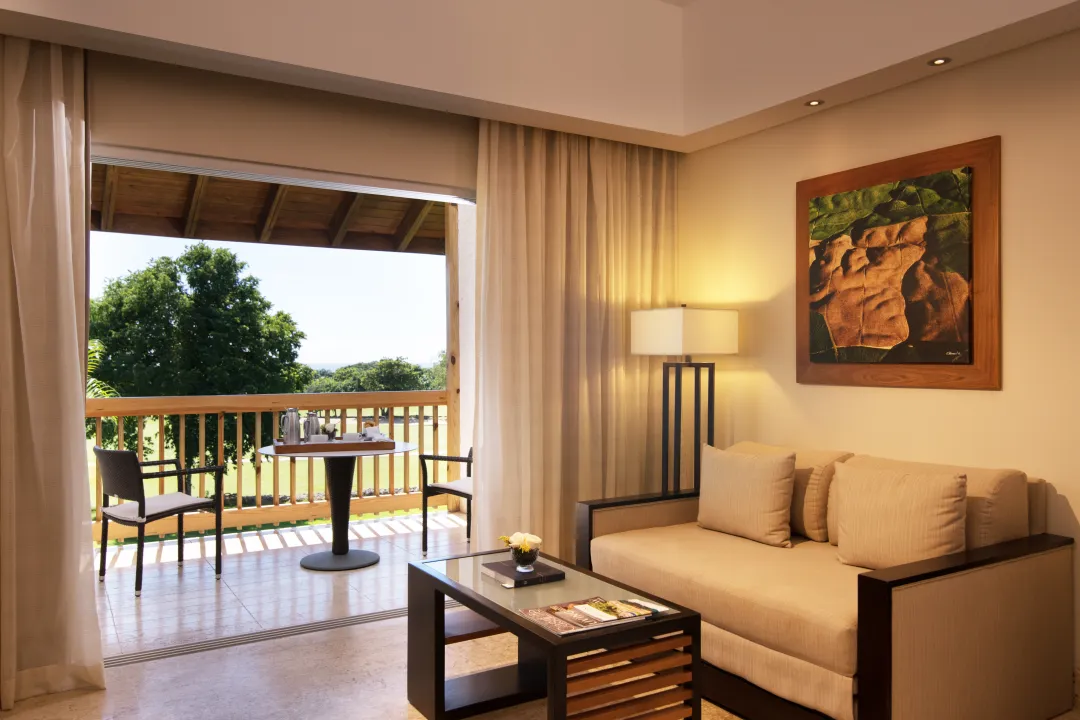 Elite Balcony Room - Seating Aeria