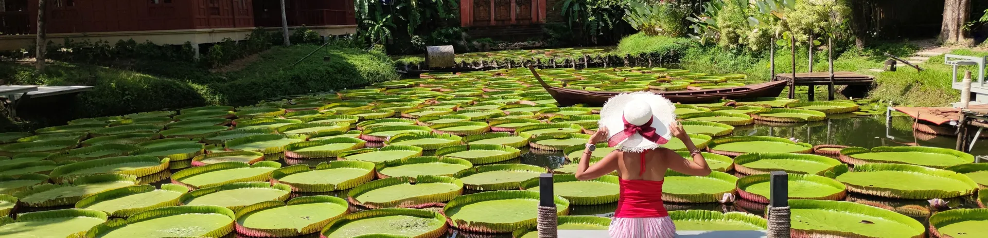 Phuket Hotels