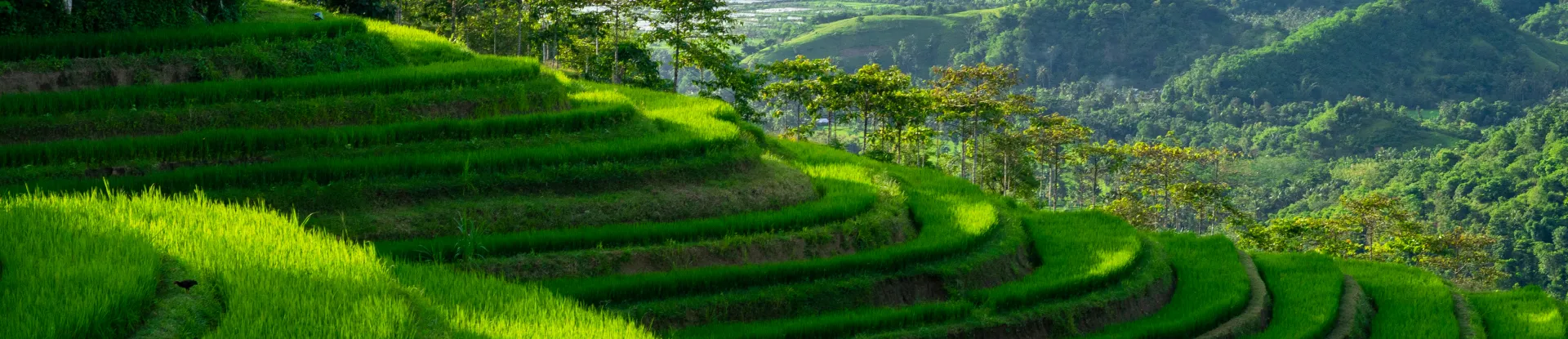 View all Lombok hotels