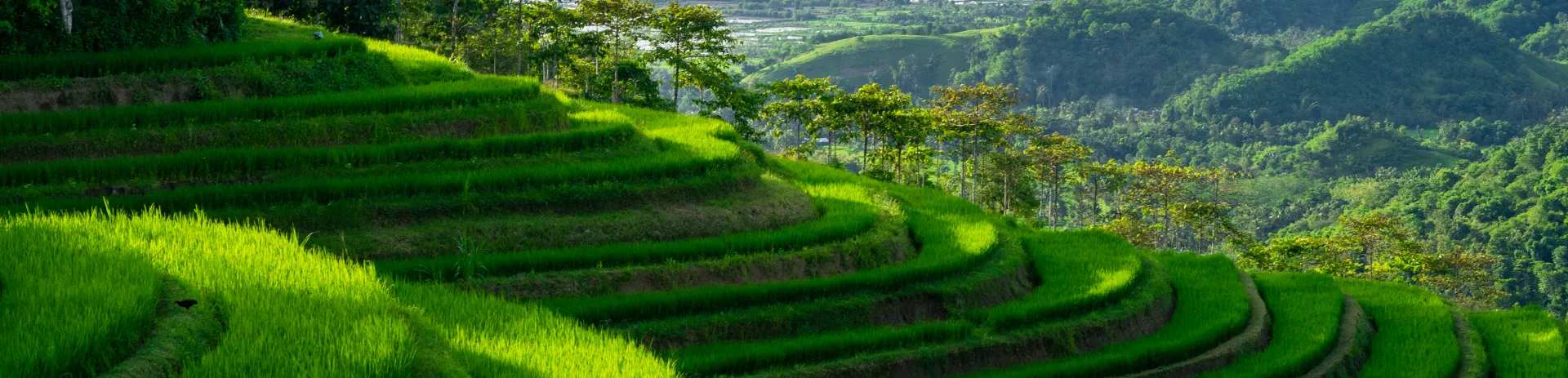 Lombok & Gili Islands Hotels