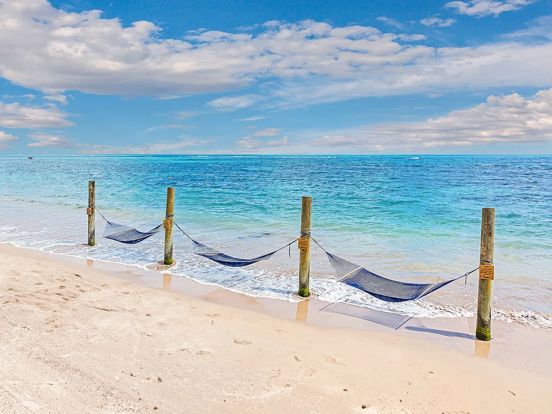 Coconut Beach Resort and Spa - Beach Hammorck