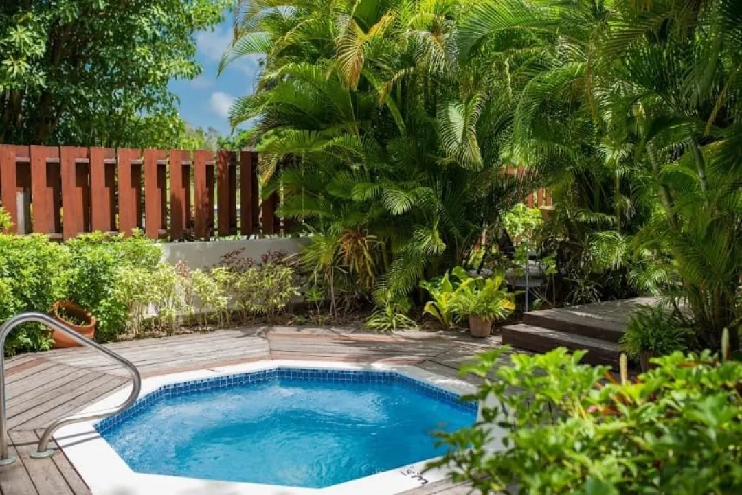 Sugar Cane Club Hotel  - Pool View