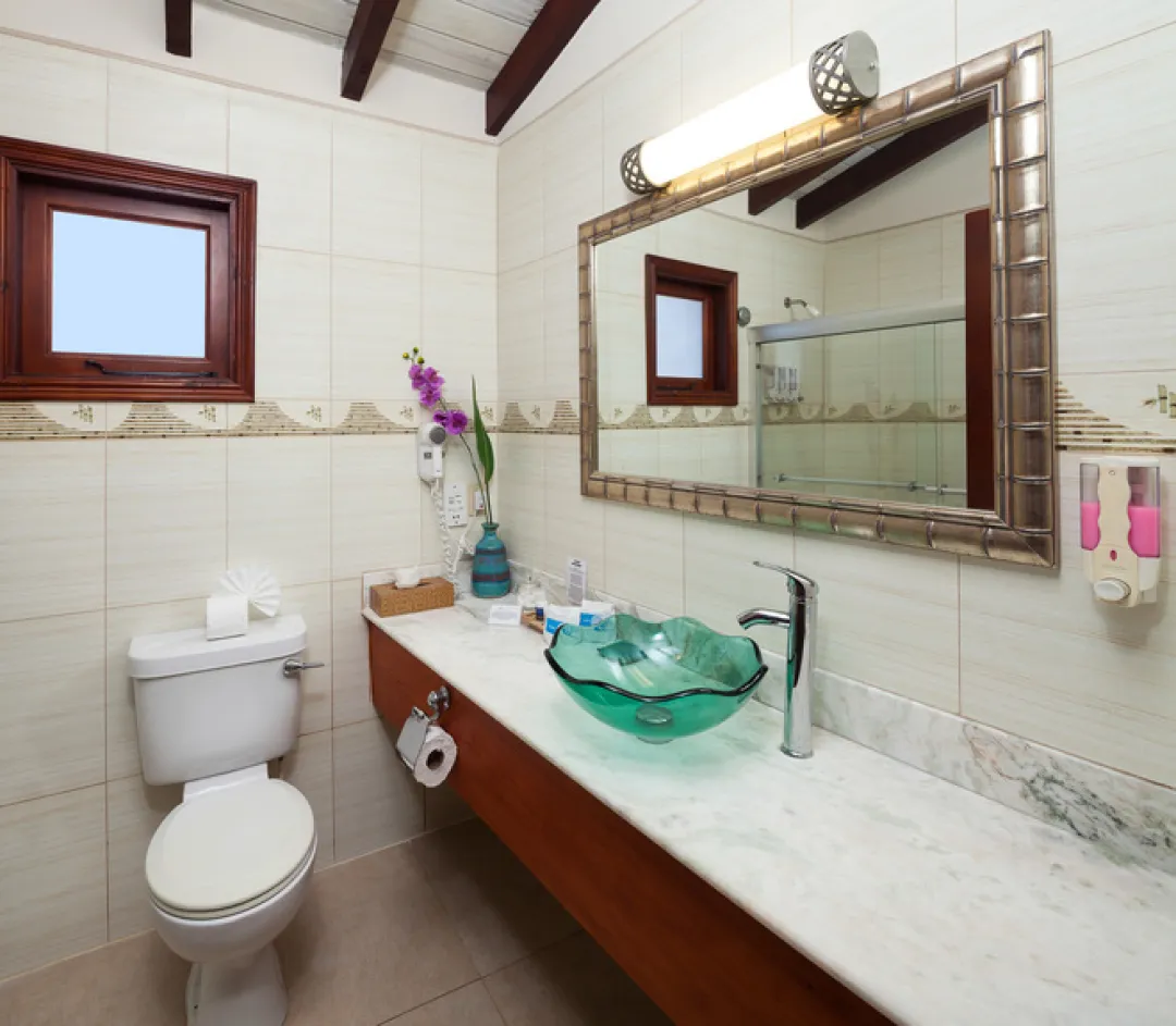 Garden View Suite -Bathroom