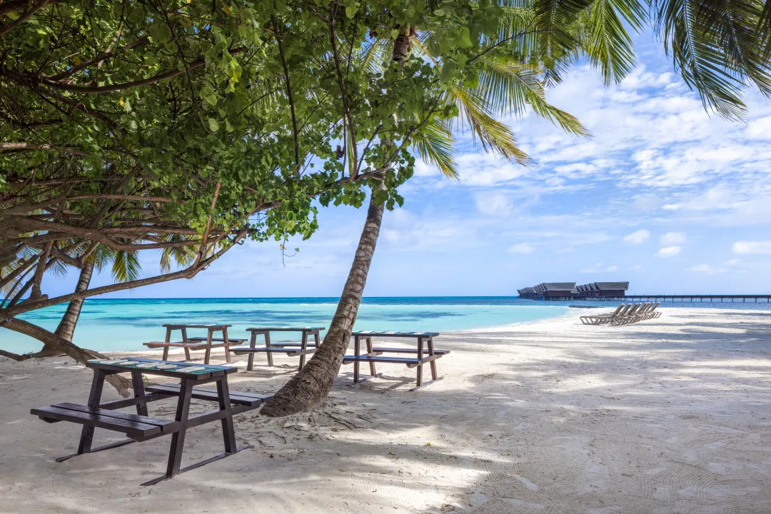 Hudhuranfushi - Beach Grill - View
